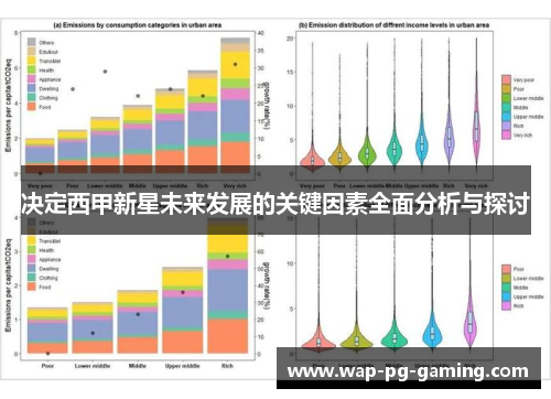决定西甲新星未来发展的关键因素全面分析与探讨