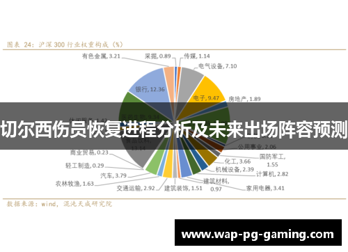 切尔西伤员恢复进程分析及未来出场阵容预测