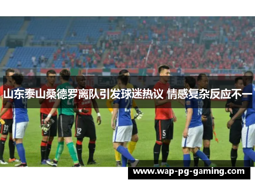山东泰山桑德罗离队引发球迷热议 情感复杂反应不一