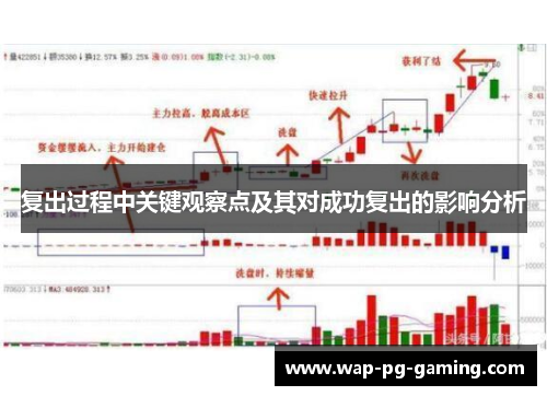 复出过程中关键观察点及其对成功复出的影响分析