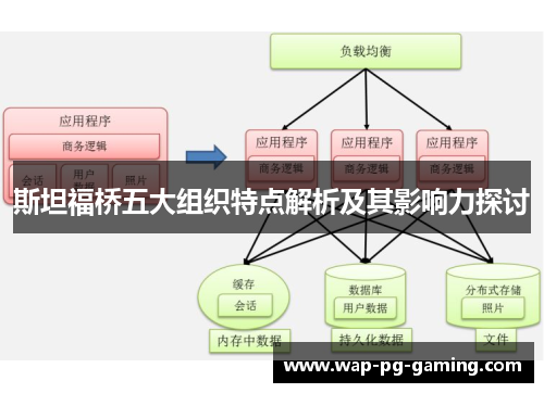 斯坦福桥五大组织特点解析及其影响力探讨