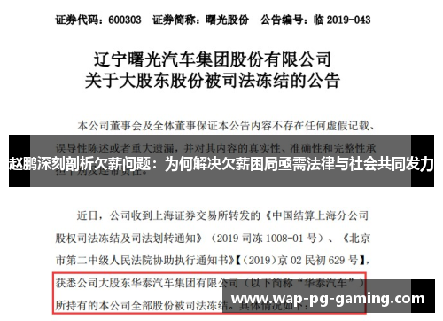 赵鹏深刻剖析欠薪问题：为何解决欠薪困局亟需法律与社会共同发力