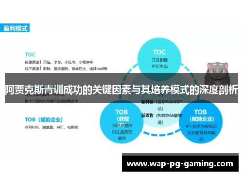 阿贾克斯青训成功的关键因素与其培养模式的深度剖析