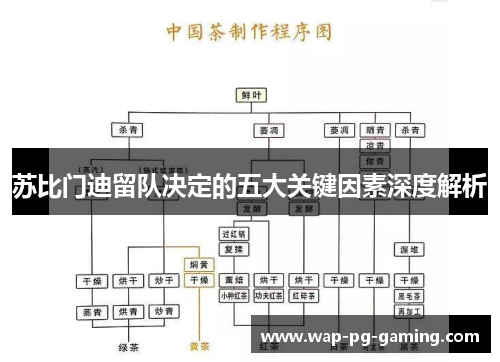 苏比门迪留队决定的五大关键因素深度解析