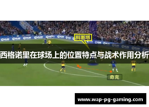 西格诺里在球场上的位置特点与战术作用分析